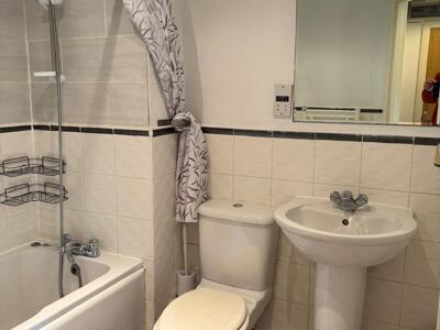 Picture 11